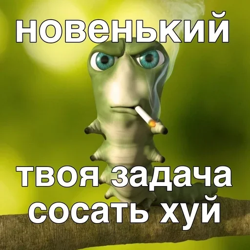 Sticker TvMKRYv_by_achestickbot - 1