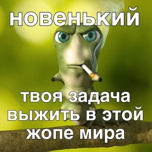 Sticker TvMKRYv_by_achestickbot - 1