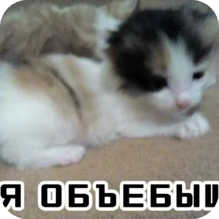 Sticker Хыхы - 9