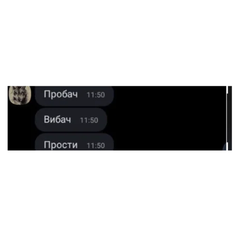 Стикер Krishka Max - 10