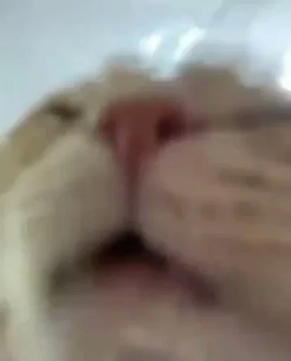 Sticker Tvoikitiki - 1