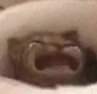 Sticker Котики - 0