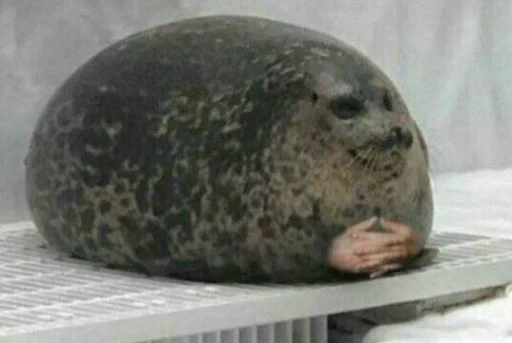 #твойстикерпак - 