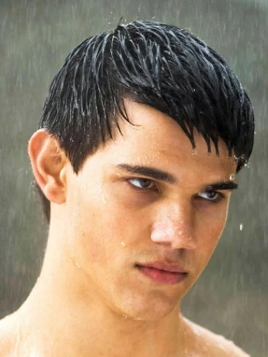 Стикер Twilight - 7