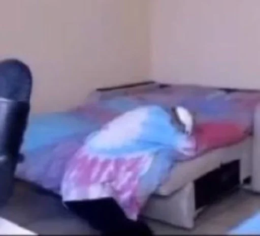 комнатный стена мебель