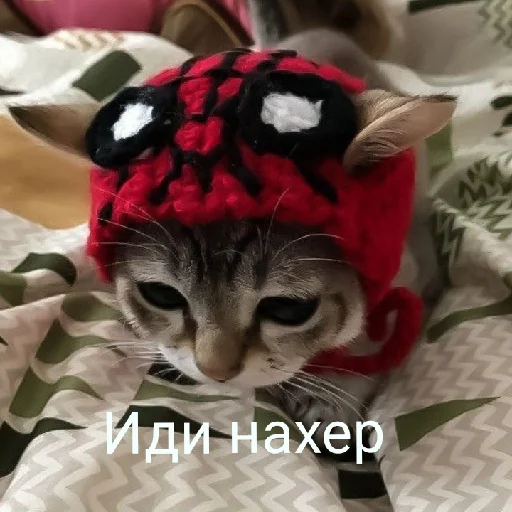 Sticker TyChyoMat - 1