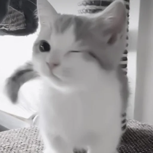 Стикер TyChyoMat - 1