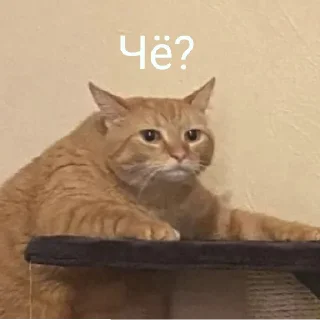 Sticker Ты чё мать?😈 - 7