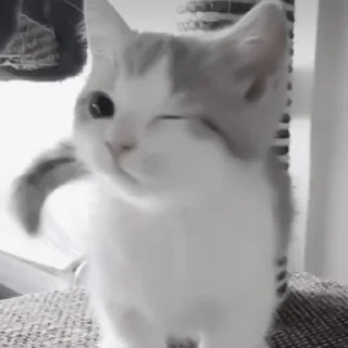 Sticker Ты чё мать?😈 - 2