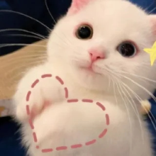 Sticker Ты чё мать?😈 - 6