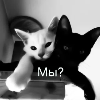 Sticker Ты чё мать?😈 - 1