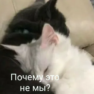 Sticker Ты чё мать?😈 - 5