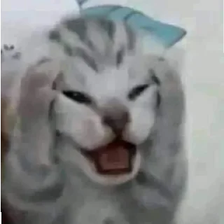 Стикер Ты писька - 0