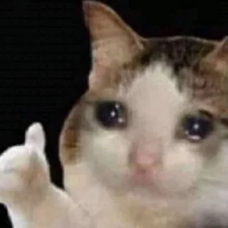 Стикер Ты писька - 10