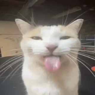 Стикер Ты писька - 11