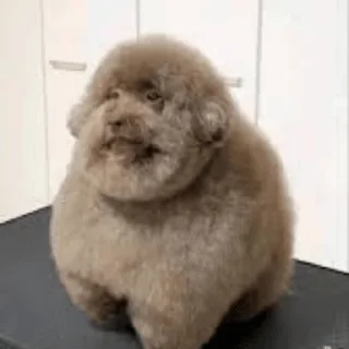 Sticker ✏️ pencil - 1