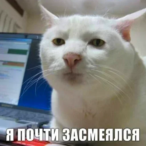 Sticker TylLsTLDqd_by_stickers_stealer_bot - 1