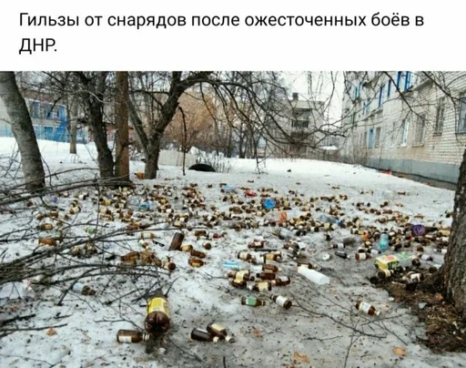 на открытом воздухе зима дерево