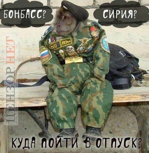 СМС оружие одежда