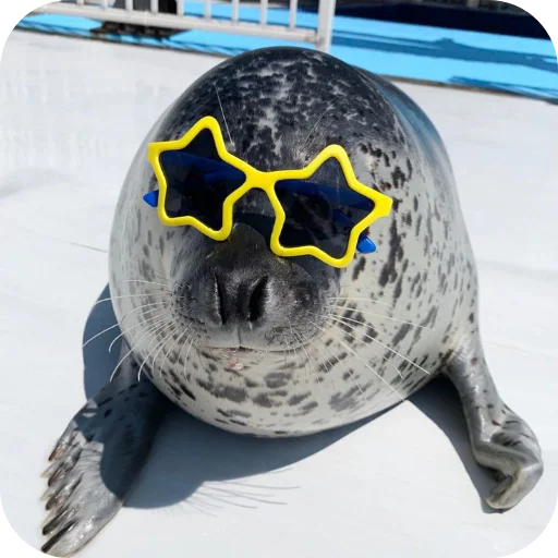 Стикер Tyulen37 - 1