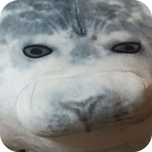 Стикер Tyulen37 - 1