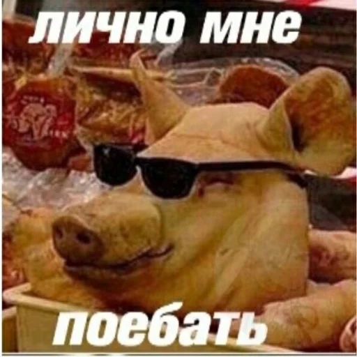 Sticker Tyulpani - 1