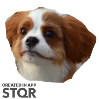 Sticker Ракамакафо by @stqrapp - 9