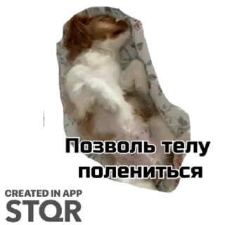 Sticker Ракамакафо by @stqrapp - 8