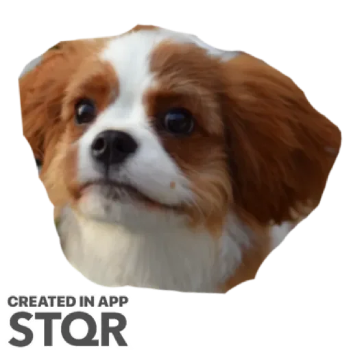 Sticker TzcKYamryYUe_by_stqr_bot - 1