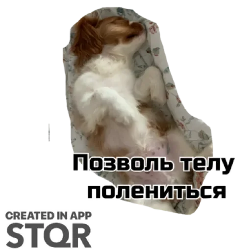 Sticker TzcKYamryYUe_by_stqr_bot - 1