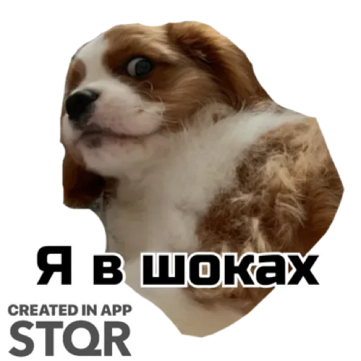 Sticker Ракамакафо by @stqrapp - 7