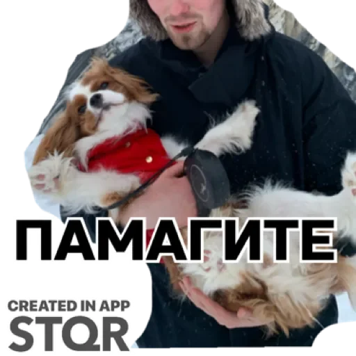 Sticker TzcKYamryYUe_by_stqr_bot - 1