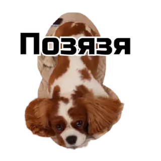 Sticker Ракамакафо by @stqrapp - 1