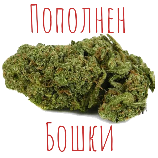 Sticker UAOMZYXCBJ_by_moyi_stikery_bot - 1