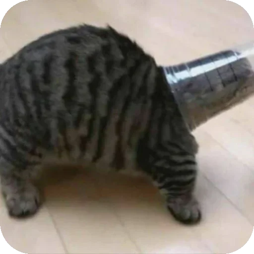 Sticker UCaIuMs_by_achestickbot - 1