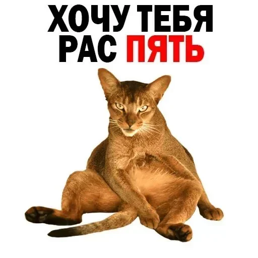 Sticker UCrwZNQPQK_by_stickers_stealer_bot - 1