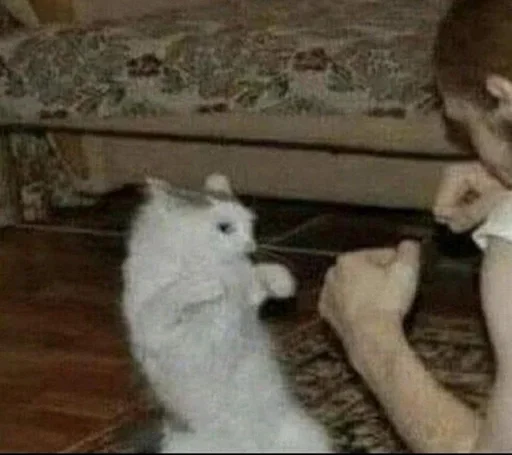 Больше стиков тут: @stikery4 - 