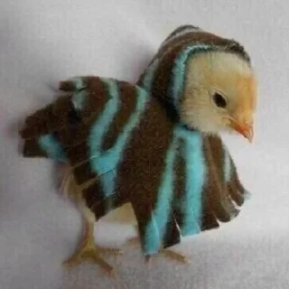 Стикер Больше стиков тут: @stikery4 - 4