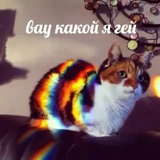 Стикер Больше стиков тут: @stikery4 - 6