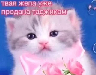 Стикер Больше стиков тут: @stikery4 - 7