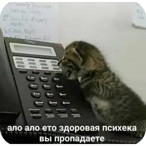 Стикер UELFXOV_by_stikers_du_ark_bot - 1