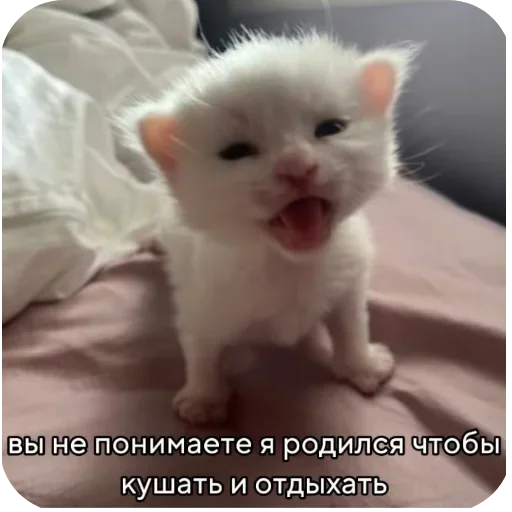 Стикер UELFXOV_by_stikers_du_ark_bot - 1