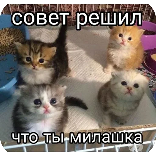 Стикер UELFXOV_by_stikers_du_ark_bot - 1