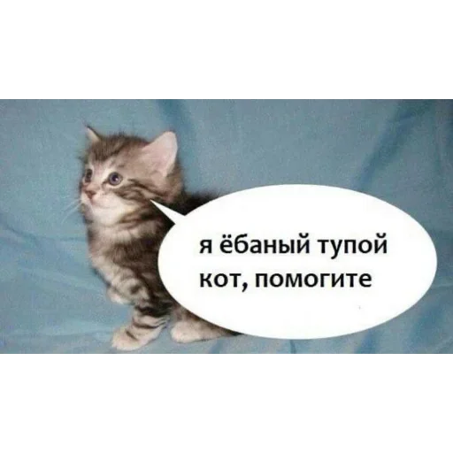 Стикер UELFXOV_by_stikers_du_ark_bot - 1