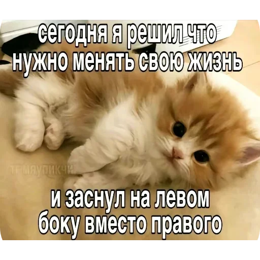 Стикер UELFXOV_by_stikers_du_ark_bot - 1