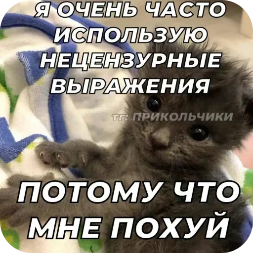 Стикер UELFXOV_by_stikers_du_ark_bot - 1