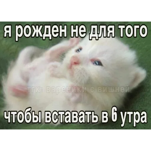 Стикер UELFXOV_by_stikers_du_ark_bot - 1