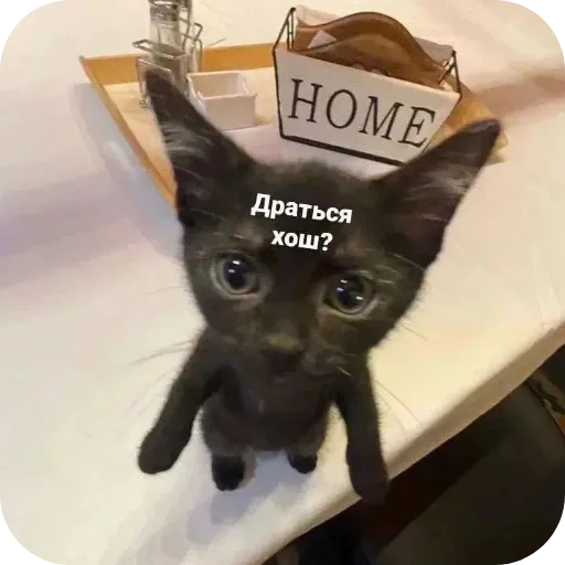 Стикер UELFXOV_by_stikers_du_ark_bot - 1