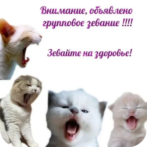 Стикер UELFXOV_by_stikers_du_ark_bot - 1