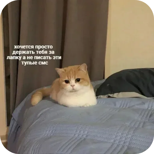 Стикер UELFXOV_by_stikers_du_ark_bot - 1